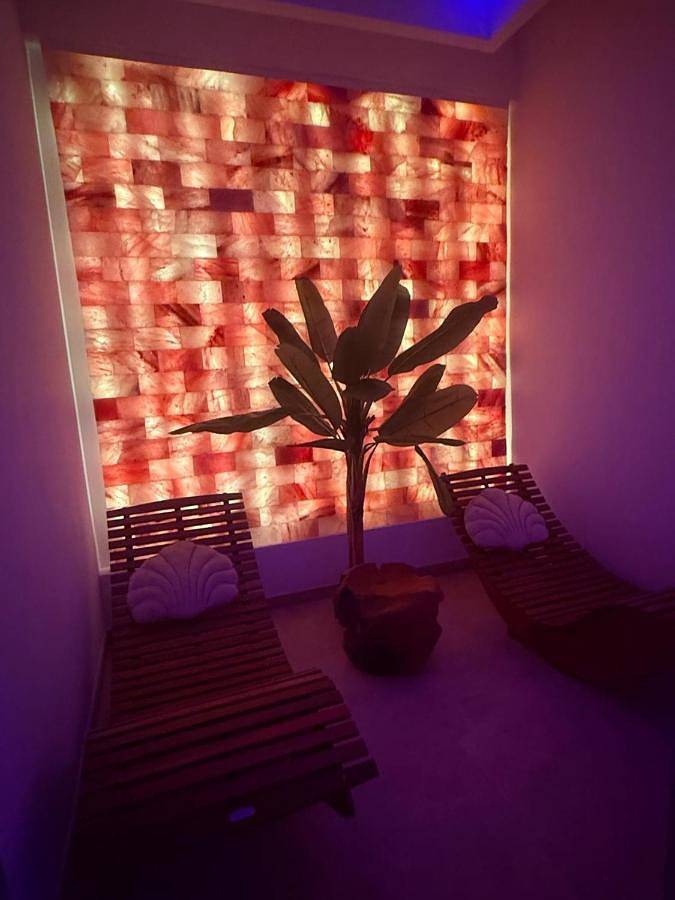 Gîte pour 2 personnes, avec terrasse ainsi que jacuzzi et sauna dans Office de Tourisme de Sélestat - 3