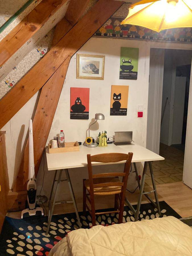 Appartement de vacances entier, Deluxe Room in La Ferté-Saint-Aubin, Sologne