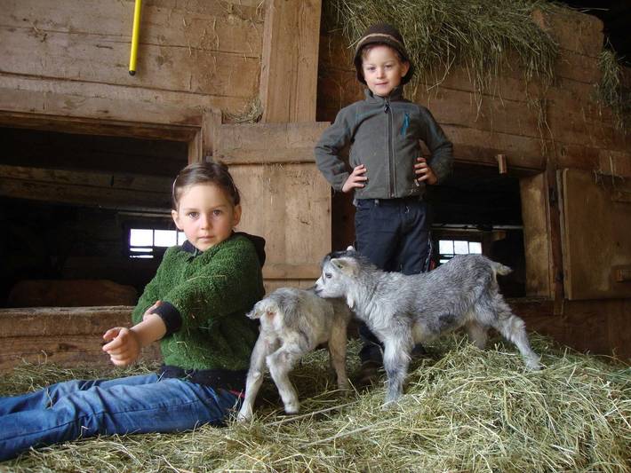 Ferienwohnung für 6 Personen, mit Garten und Ausblick, kinderfreundlich im Bregenzerwald - 3