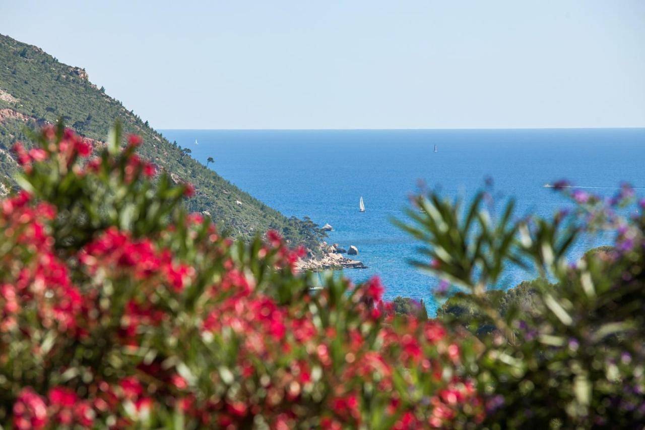 Chambre d'hôtes La Demeure Insoupçonnée - piscine - vue mer - Secrets de Voyages in Cassis, Parc national des Calanques