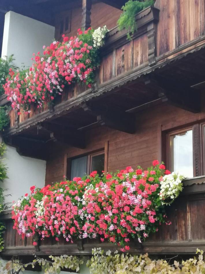 Ferienwohnung für 4 Personen, mit Balkon in Reith im Alpbachtal - 4