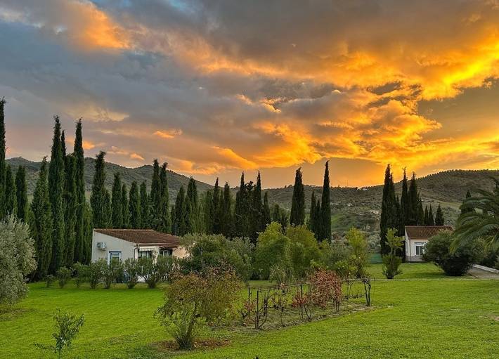 Casa rural para 2 personas, con terraza y jardín en Olvera - 3