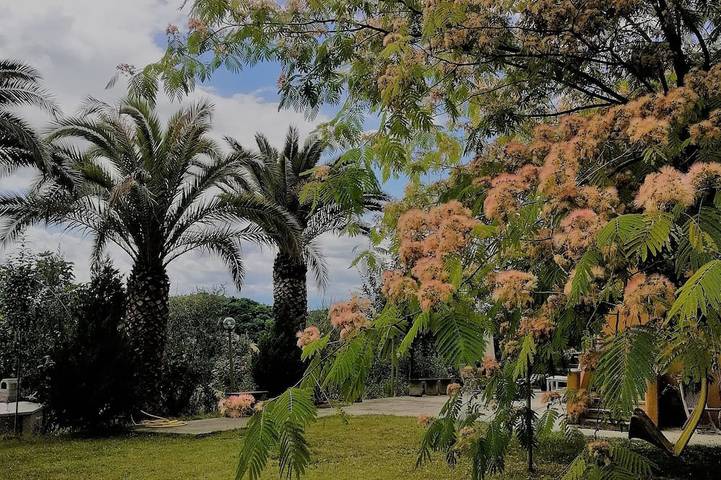 Casa in Collina nel verde mediterraneo a 8 Km  da San Benedetto del Tronto in Monsampolo del Tronto, Provincia di Ascoli Piceno