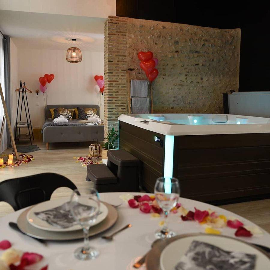 Eaudyssée maison avec Spa privée - Loiret in Ladon, Région de Montargis