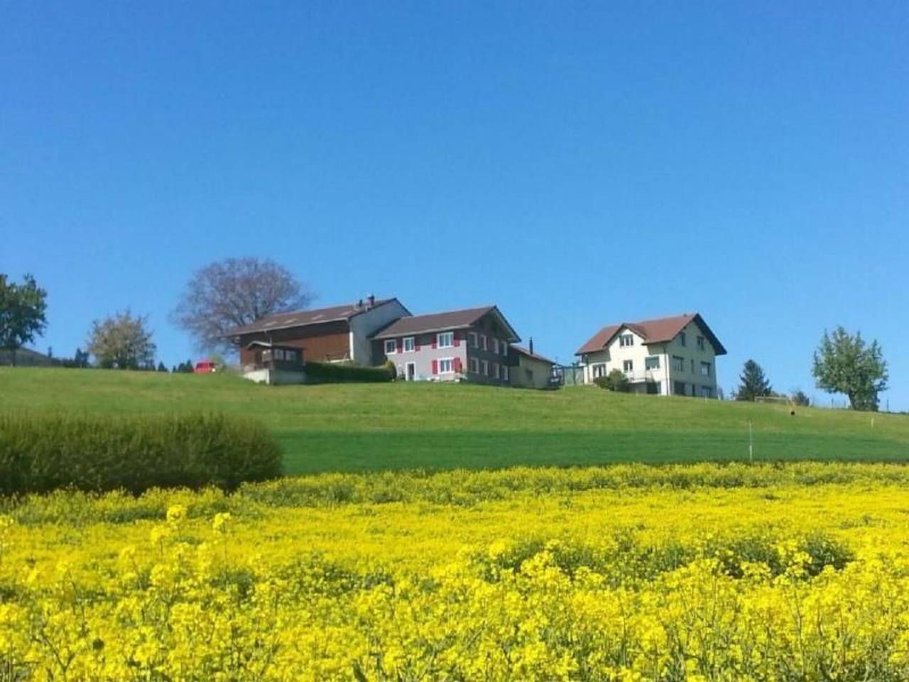 Ganze Wohnung, Ferienwohnung in Kanton Luzern