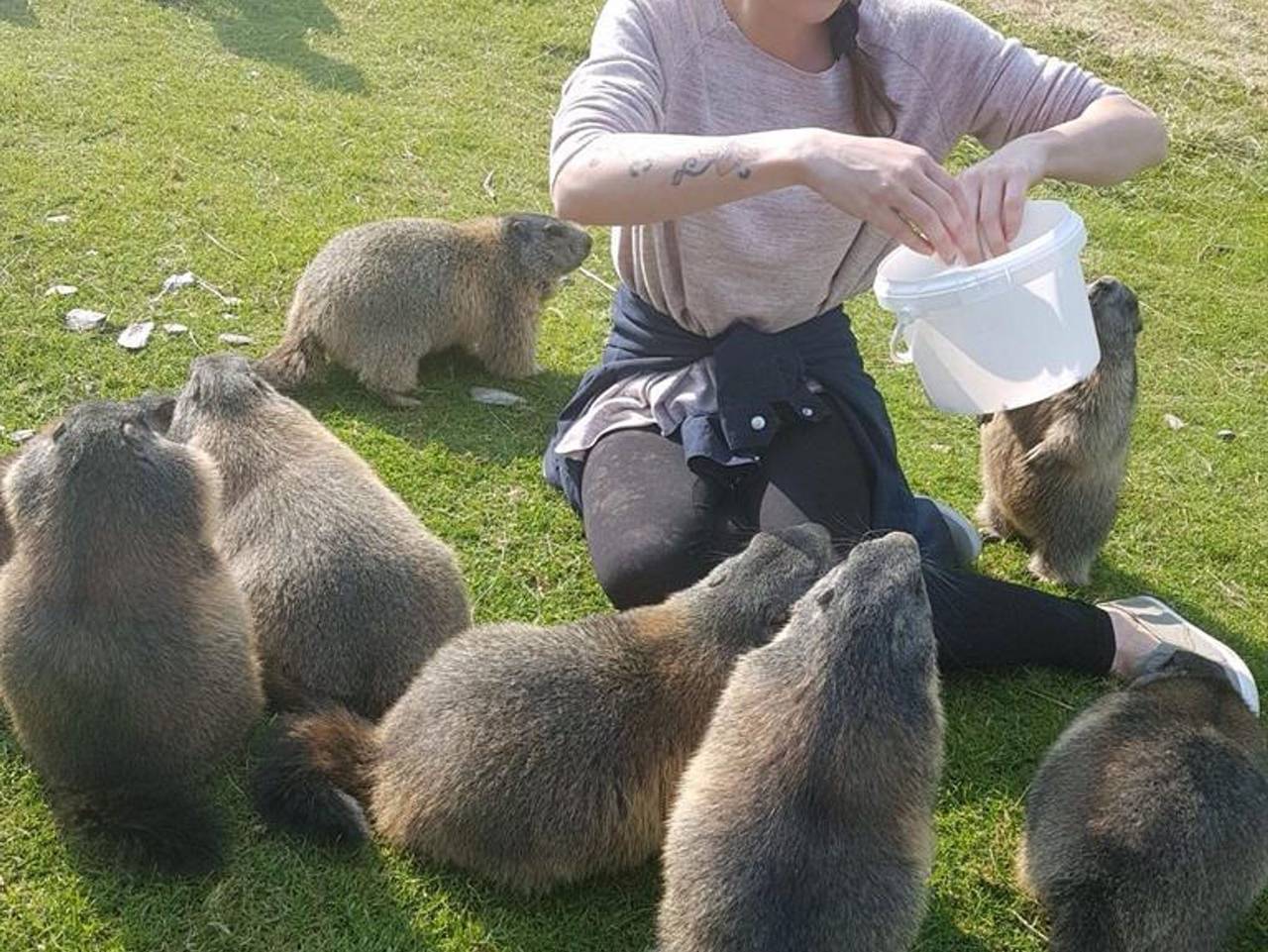 Ferienhaus Stoiser - Ferienhaus, Bad, Wc, 4 oder mehr Schlafräume in Michaelerberg-Pruggern, Schladming-Dachstein