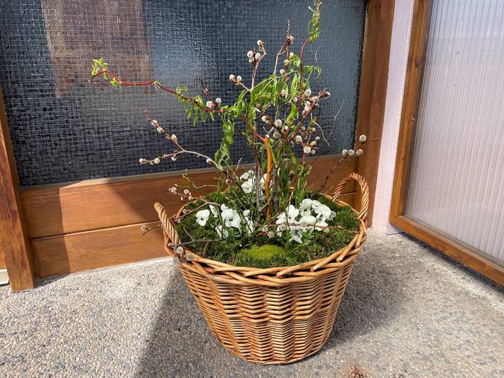 Ferienhaus für 8 Personen, mit Terrasse und Balkon/Terrasse in Rhön-Bayern - 2