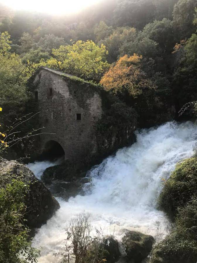 Gîte pour 5 personnes, avec terrasse à La Cavalerie - 3