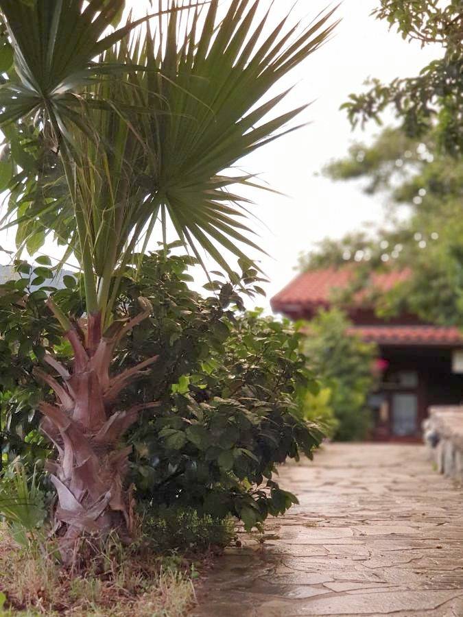 Alagonia Country Homes in Kalamata, Messenia