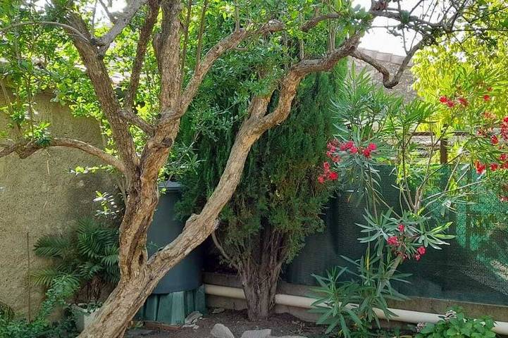 Location de vacances pour 7 personnes, avec jardin et terrasse à Puimisson