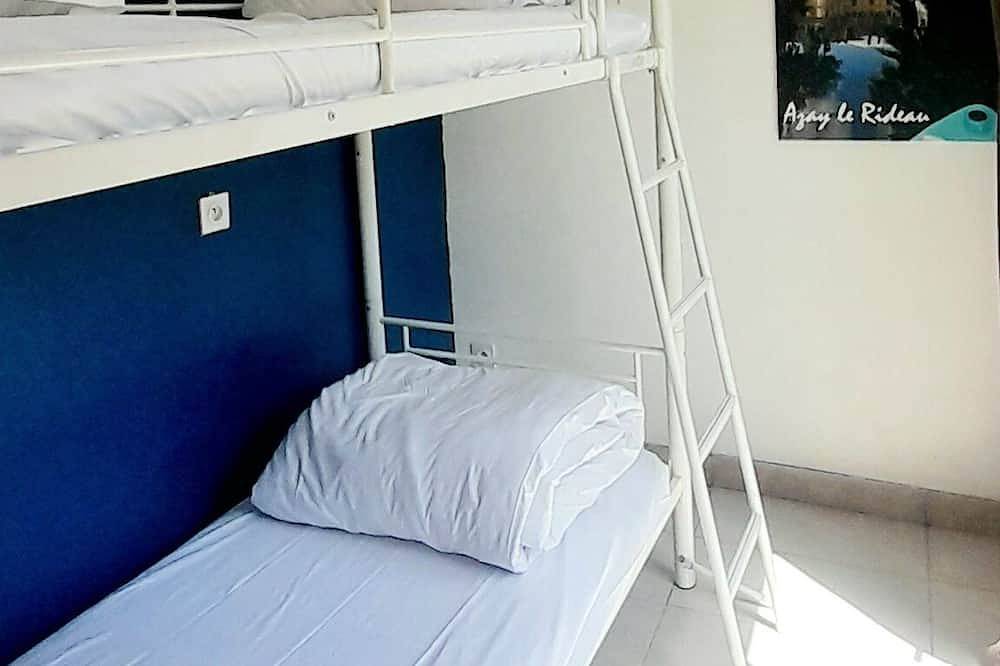 Entire apartment, Chez Benjamin -> Accommodation for 4 people / 2 Bedrooms in Azay-le-Rideau, Loire Valley