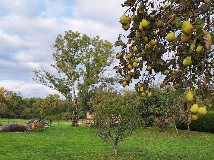 Chambre d’hôte pour 2 personnes, avec vue et piscine ainsi que terrasse et jardin dans Territoire de Belfort - 4