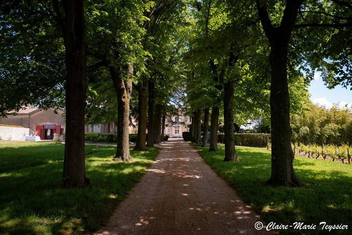Chambre d’hôte pour 2 personnes, avec vue et jardin à Pommiers - 4