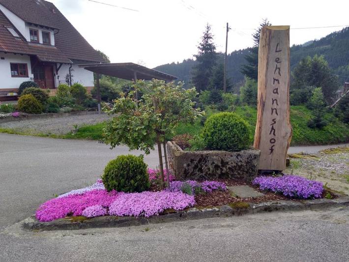 Gîte pour 4 personnes, avec vue et jardin à Zell am Harmersbach - 3