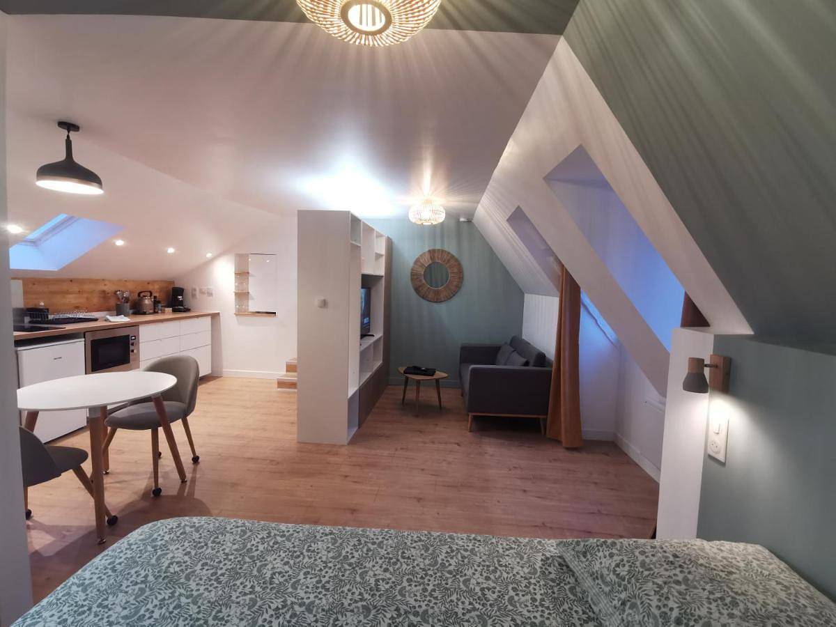 Appartement entier, Les appartements du centre, 3 appartements avec Climatisation, 4 appartements avec climatiseur mobile, refaits à neuf, 50m à pieds des commerces, restaurants, parking gratuit in Salies-de-Béarn, Béarn