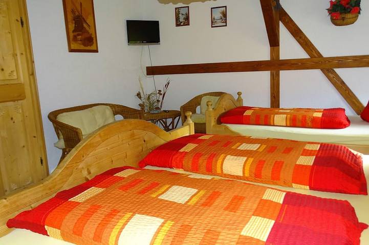 Ferienwohnung für 5 Personen, mit Garten in Grünbach - 3