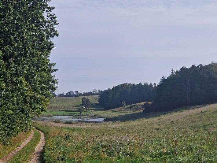 Location de vacances pour 6 personnes, avec terrasse, animaux acceptés à Ebeltoft - 4