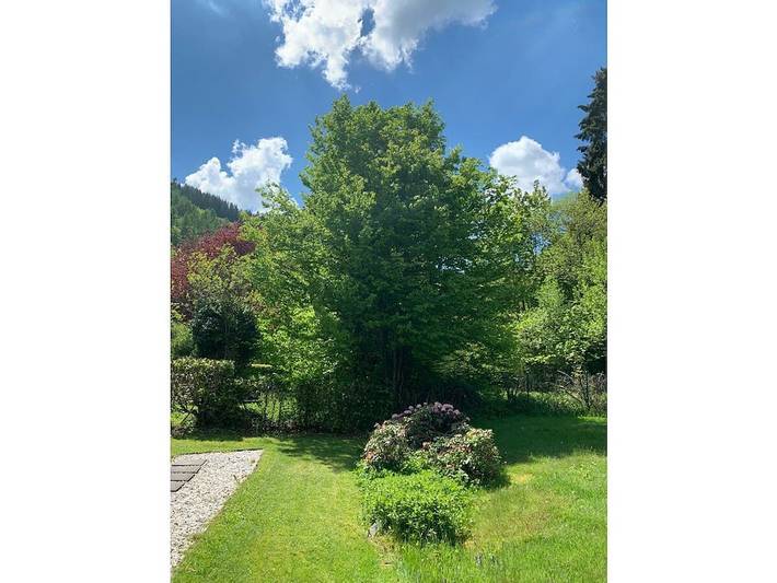 Ferienhaus mit 1 Schlafzimmer in Simmerath, Rureifel (Nordrhein-westfalen)