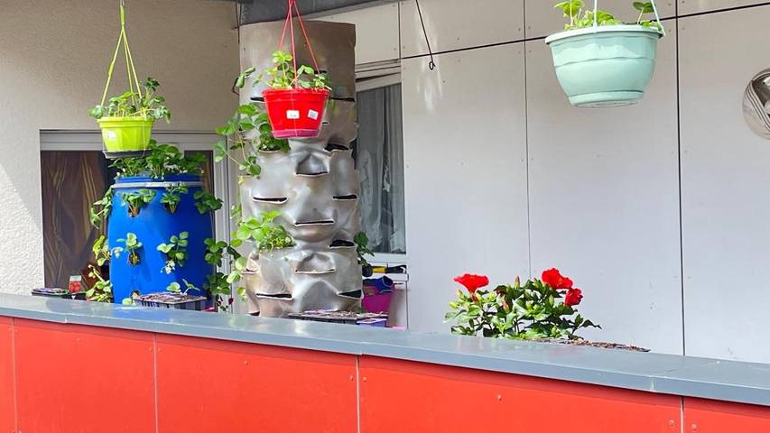 Appartement de vacances pour 3 personnes, avec balcon et vue