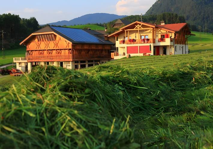 Ganze Wohnung, Ferienwohnung 'Tamara' mit Bergblick, Gemeinschaftsterrasse und Wi-Fi in Kastelruth, Dolomiti Superski