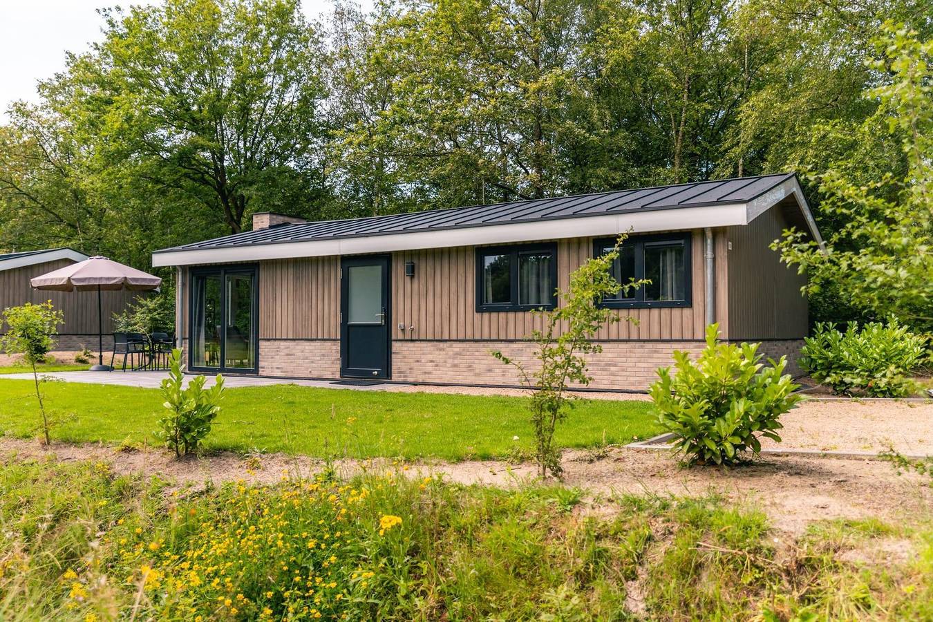 Europarcs Ruinen — Hackfort 6 in Ruinen, Nationalpark Dwingelderveld