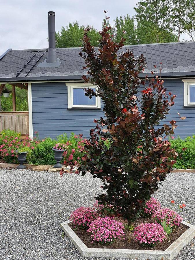 Ferienwohnung für 4 Personen, mit Terrasse und Garten sowie Pool in Frøya - 4