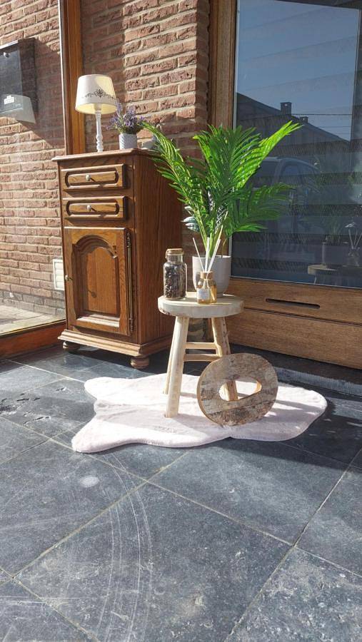 Gîte pour 2 personnes, avec terrasse à Binche - 4