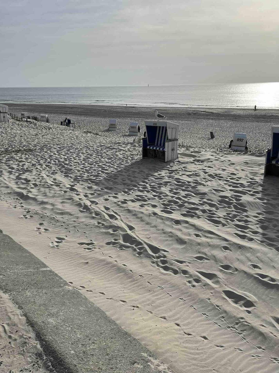 Ganze Ferienwohnung, Apartment Tippner in Westerland, Sylt (Gemeinde)