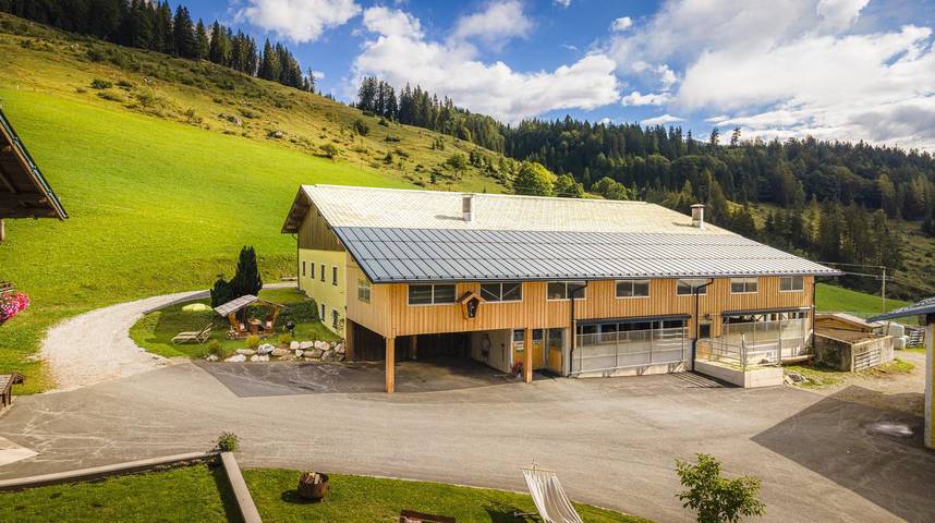 Ganze Ferienwohnung, Doppelzimmer mit Dusche, Wc in Hochkönigstock, Mühlbach am Hochkönig