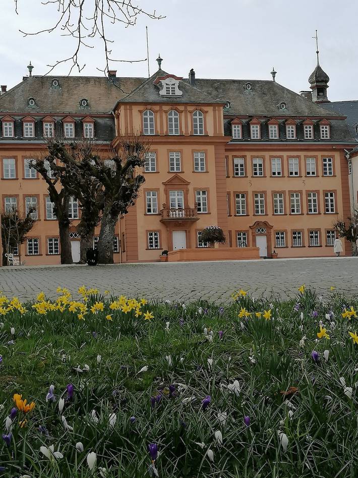 Ganze Wohnung, Ferienwohnung am Schloßpark - Ferienwohnung in Bad Berleburg, Kreis Siegen-Wittgenstein