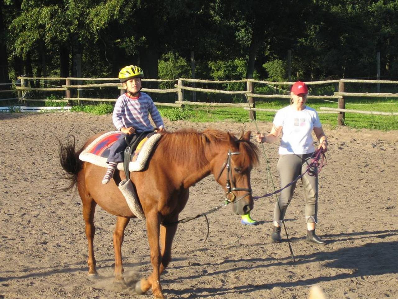 Ganze Ferienwohnung, Ferienhof Drewes - Fewo "Küken" Drewes Ranch, Du, Wc, 2 Sz in Wietzendorf, Landkreis Heidekreis