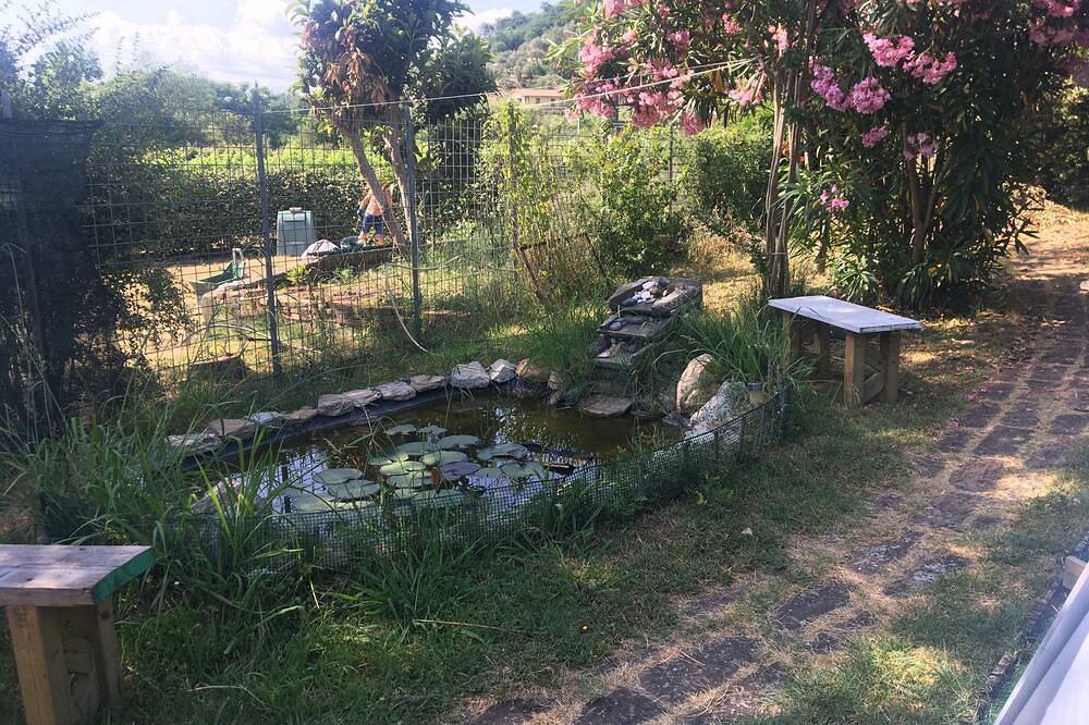 Ganze Wohnung, Relaxation in Farmhouse of 1700 in Sarzana, Naturpark Montemarcello-Magra-Vara