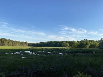 Vacation House for 8 Guests in Mount Desert Island, Maine, Picture 4