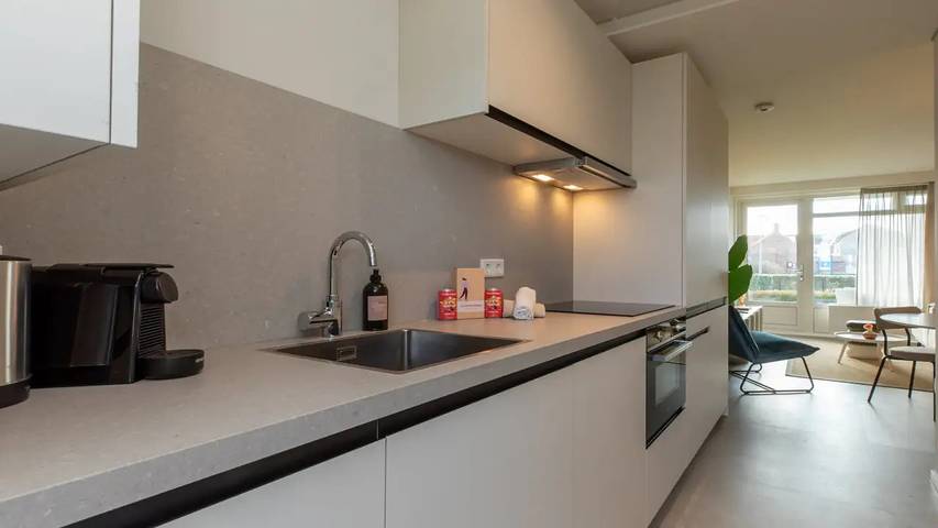 Ferienhaus mit Meerblick für 4 Personen, mit Terrasse, mit Haustier in Zeeland - 3