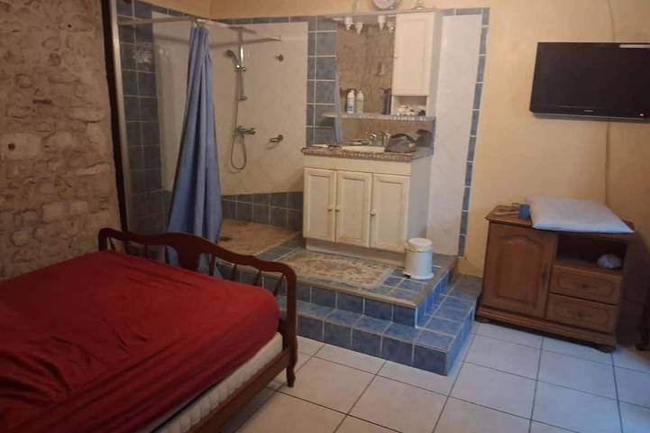 Location de vacances pour 6 personnes, avec terrasse et jardin à Saint-Romain-de-Benet - 4