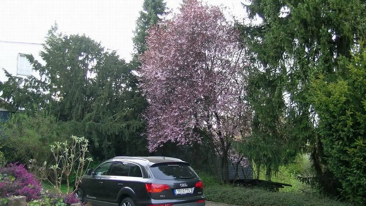 Ganze Ferienwohnung, Ferienwohnung für 2 Personen (53 m²) in Manderscheid in Manderscheid, Bernkastel-Kues & Umgebung
