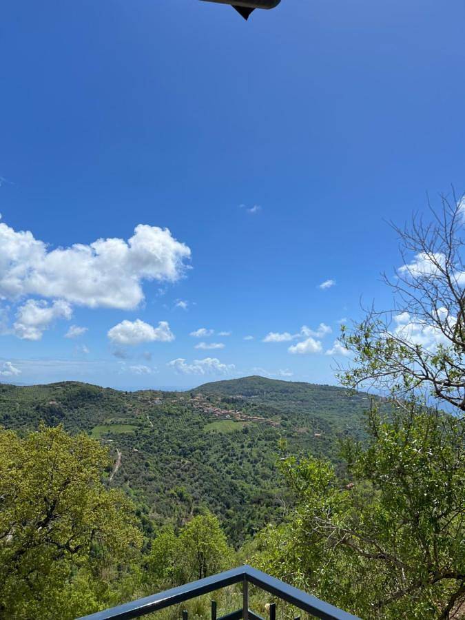 Dente di Leone in San Mauro Cilento, Cilento Coast