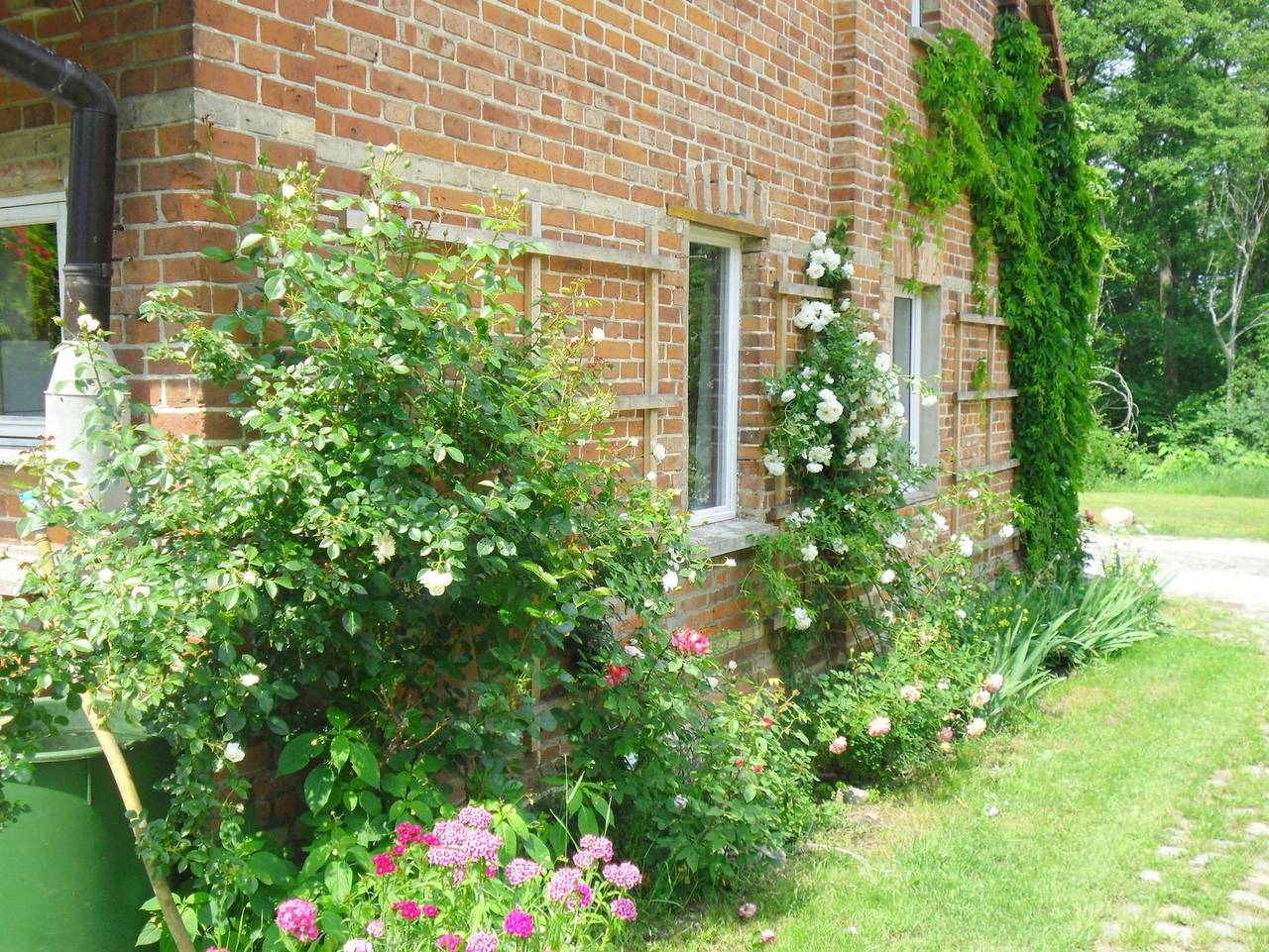 Ganze Ferienwohnung, Ferienwohnung Stolz (G) - Stolz(G) in Schwinkendorf, Moltzow