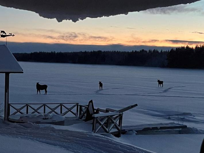 Villa für 10 Personen, mit Sauna und Whirlpool sowie Garten in Schweden - 2