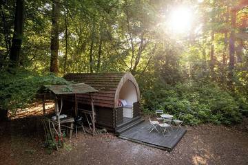Camping for 4 People in Kingsclere, North Wessex Downs, Photo 4