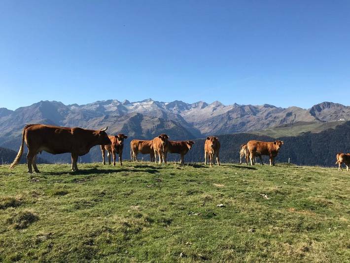 Gîte pour 4 personnes, avec jardin et vue à Montauban-de-Luchon - 2