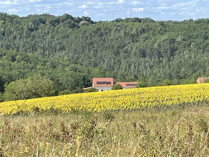 Gîte pour 12 personnes, avec piscine et jardin ainsi que jacuzzi et terrasse