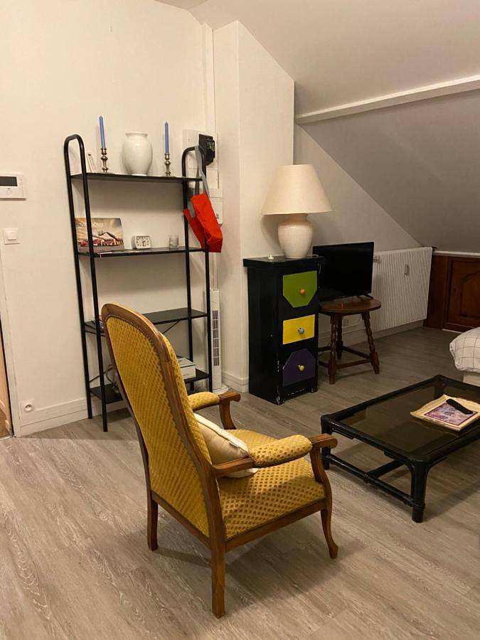 Appartement entier, One-Bedroom Apartment in Vendôme, Vallée de la Loire