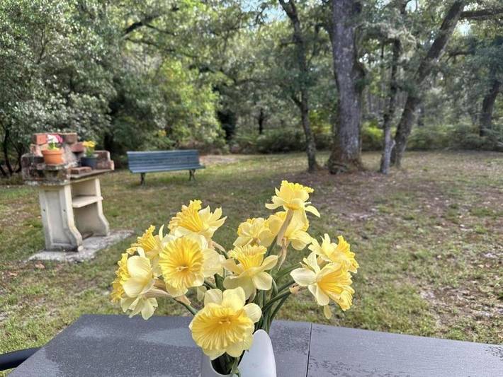 Location de vacances pour 3 personnes, avec jardin à Argelouse - 3