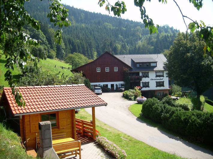 Ferienwohnung für 4 Personen, mit Garten, mit Haustier in Nationalpark Schwarzwald - 3