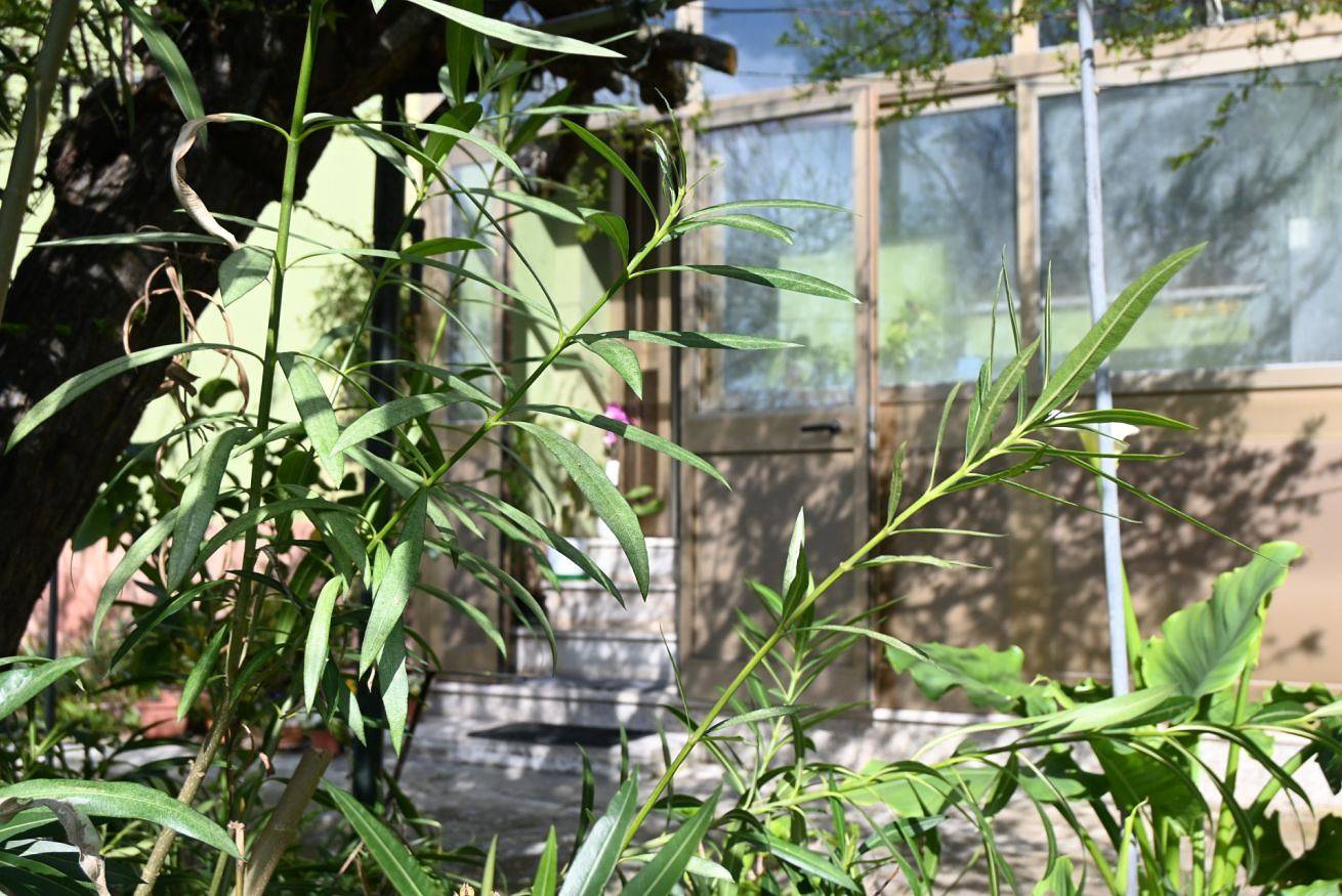 Apartamento entero, Se162 - Marotta, comfortable three-room apartment with garden and parking space in Valle del Metauro