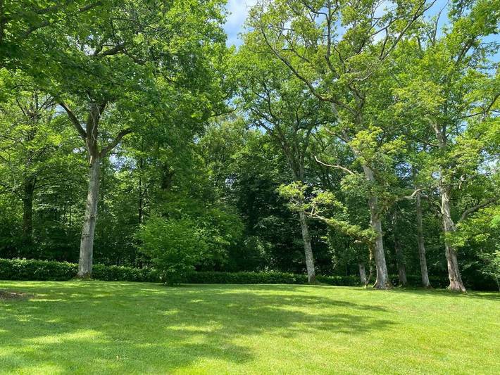 Gîte pour 2 personnes, avec vue ainsi que piscine et jardin, animaux acceptés à Jurançon - 4