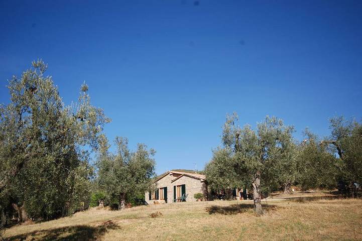 Accogliente villetta immersa in olivi secolari in Semproniano, Provincia di Grosseto