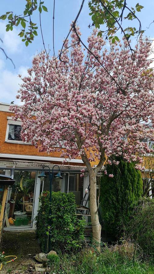 Ferienwohnung für 2 Personen, mit Ausblick und Garten in Rudow Berlin