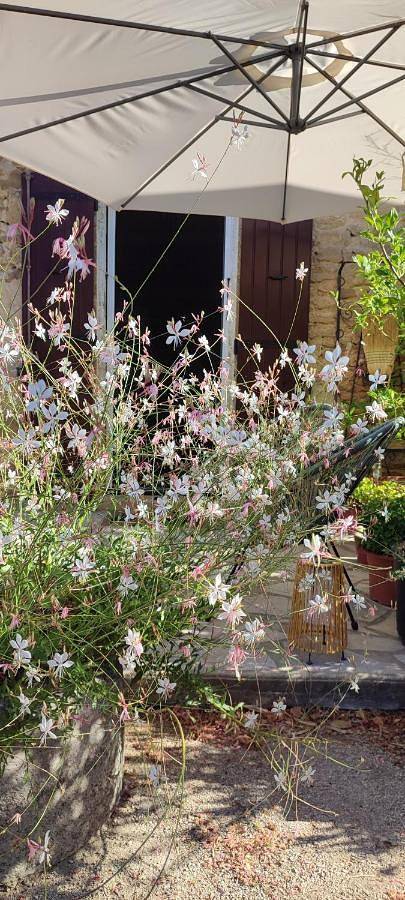 Location de vacances pour 4 personnes, avec piscine ainsi que vue et jardin à Sérignan-du-Comtat - 4